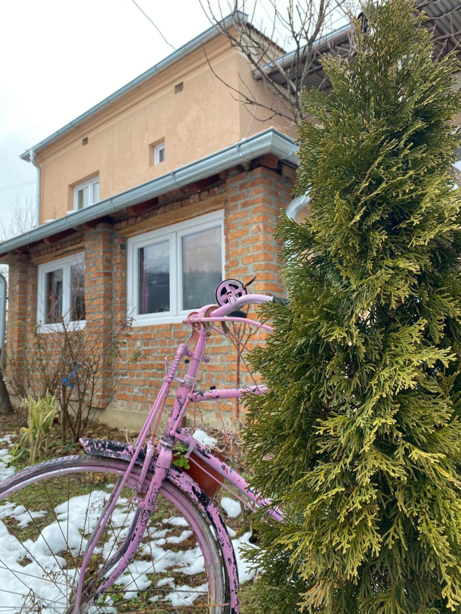 Apartament Seosko Turisticko Domacinstvo Stanisic Kalna Zewnętrze zdjęcie