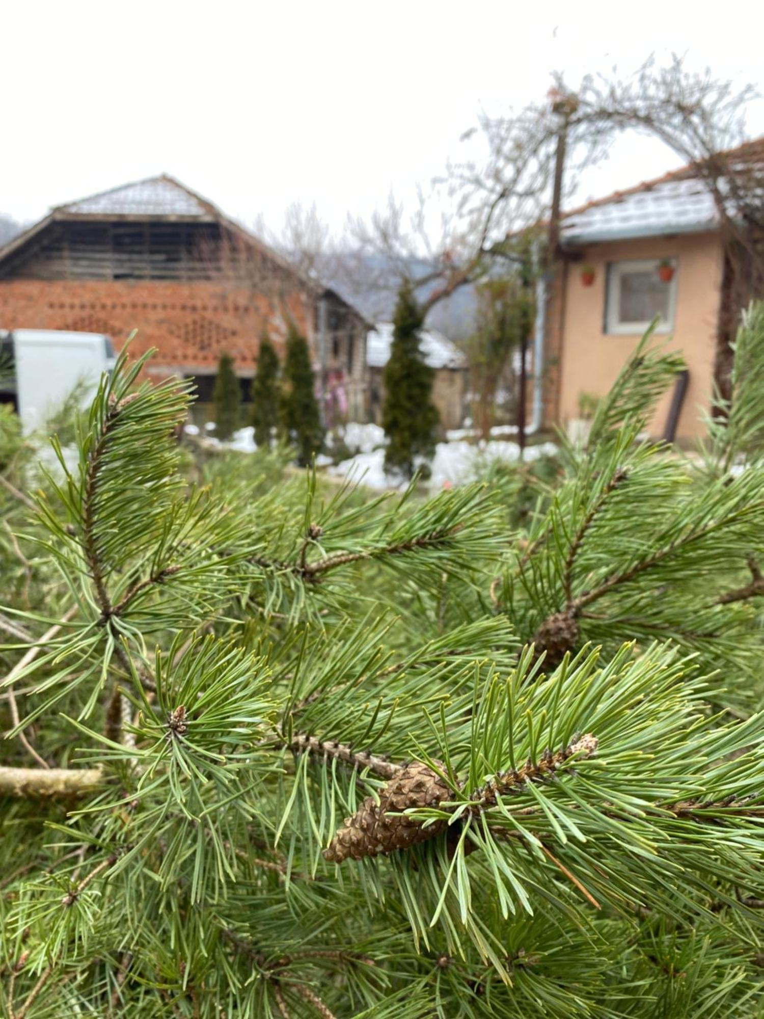 Apartament Seosko Turisticko Domacinstvo Stanisic Kalna Zewnętrze zdjęcie